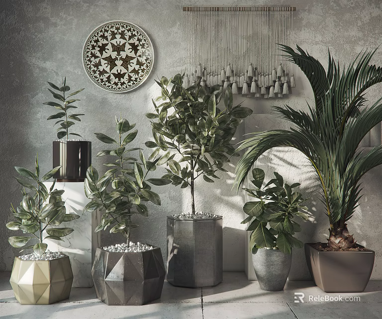 Stylish Bonsai Potted Plants In Geometric Planters With Gray Wall Decor 3d model 