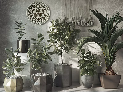 Stylish Bonsai Potted Plants In Geometric Planters With Gray Wall Decor 3d model