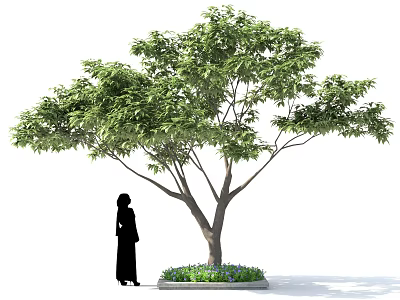 Vibrant Green Shrub With Thick Foliage And Small Flowers Near Person Silhouette 3d model