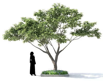 Vibrant Green Shrub With Thick Foliage And Small Flowers Near Person Silhouette 3d model