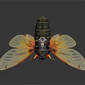 Macro View Of A Cicada With Black Body Red Eyes Transparent Yellow Wings