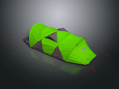 Green and Gray Outdoor Camping Tent with Support Poles and Stakes for Camping Trips 3d model