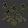 Various Green Cactus Plants Featuring Columnar And Round Stems In 3D Render
