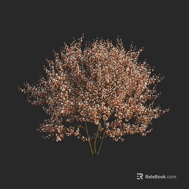 Lush Arbor With Golden Brown Foliage And Full Canopy Structure 3d model