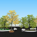 Multiple Tree Planters With Yellow Green Foliage And People Resting On Black Paved Ground