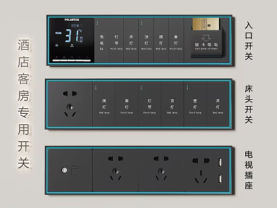 Hotel Guest Room Switch Panels with Entry Bedside and TV Sockets 3d model
