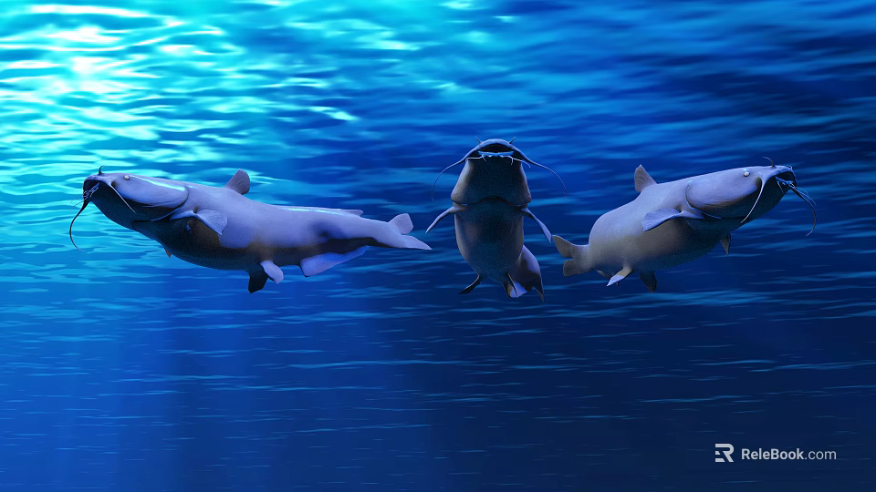 Three Fish Swimming Together in Clear Blue Underwater Ocean Water Scene 3d model 