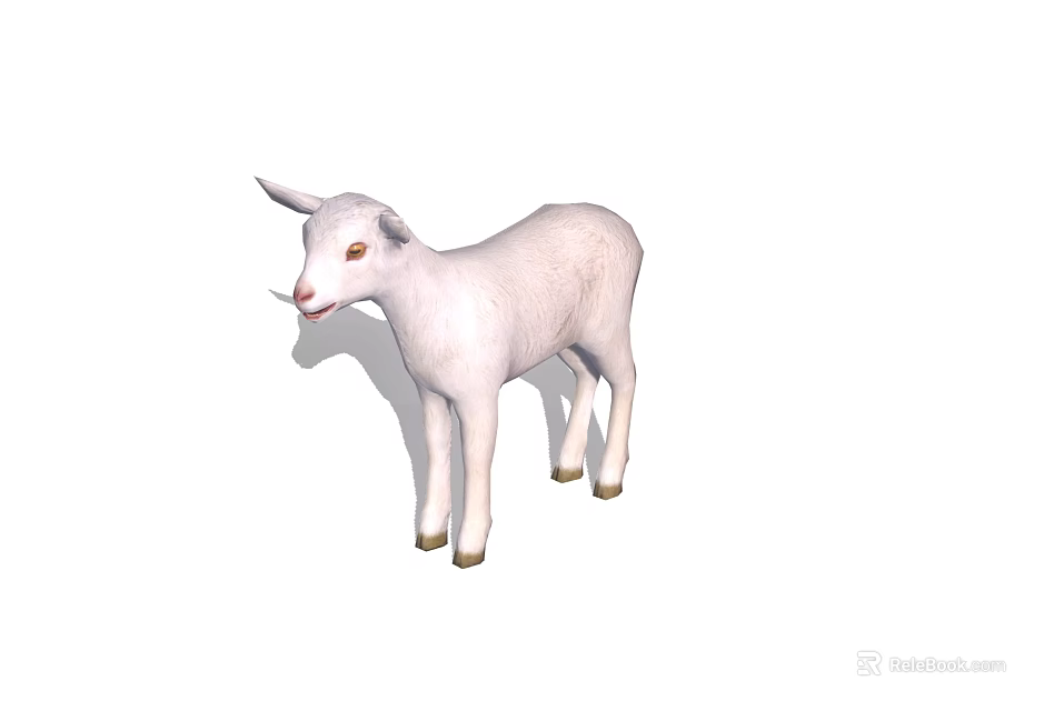 Adorable White Young Lamb With Soft Wool Standing On White Background Looking Cute 3d model
