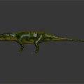 Modern Crocodile Fassora Alligator Nile Alligator 3d model