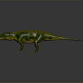 Modern Crocodile Fassora Alligator Alligator Nile Alligator 3d model