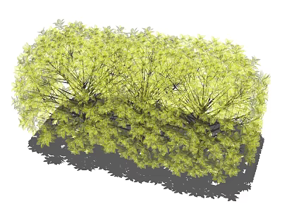 Lush Green Yellow Bushes With Dense Foliage In Garden Landscape 3d model