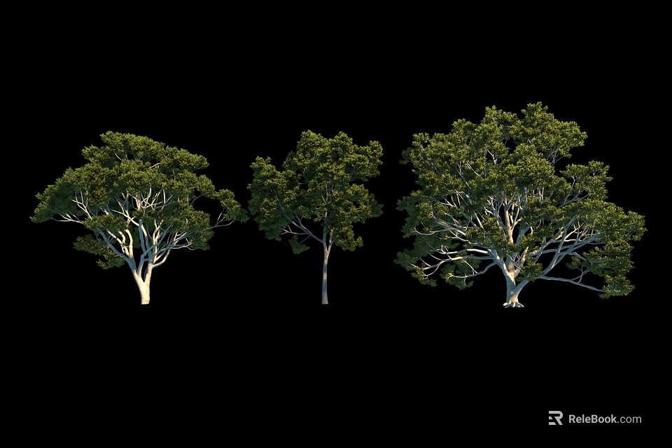 Three Green Trees With Lush Foliage And Natural Appearance Against Black Background 3d model 