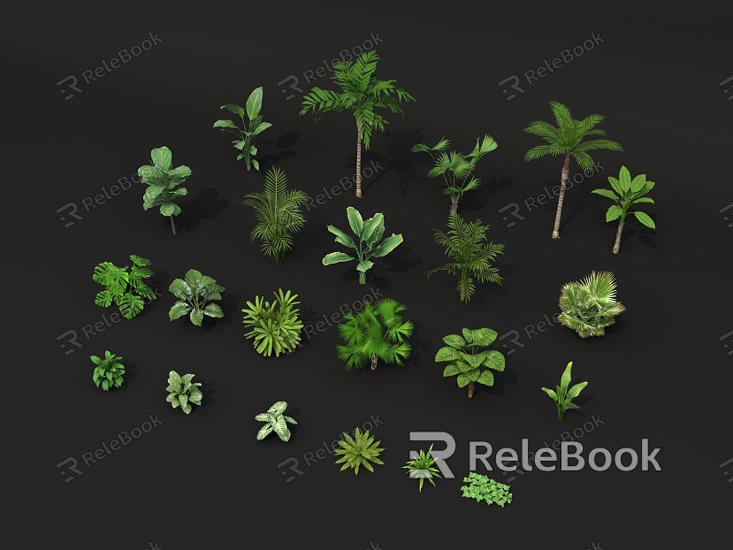 green plant palm plantain turtle back evergreen spantail kwai hewland ivy kidney fern arum margarum green plant green plant potted plant model