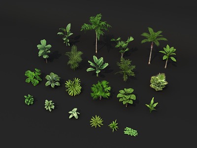 green plant palm plantain turtle back evergreen spantail kwai hewland ivy kidney fern arum margarum green plant green plant potted plant model