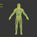 Futuristic Metallic Robot Armor Suit With Silver Black Detailed Design Standing Pose