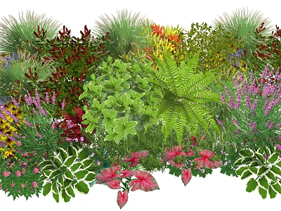 Colorful Plant Combination With Ferns Red Leaves Purple Flowers And Green Shrubs 3d model