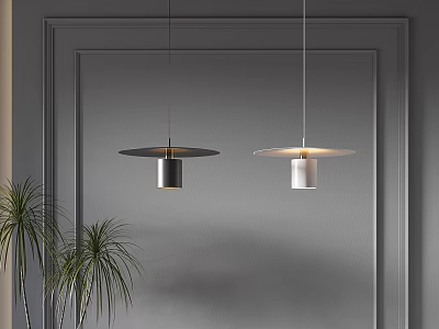 Modern Pendant Lights in Modern Interior with Gray Wall Decorative Frame and Green Plants 3d model