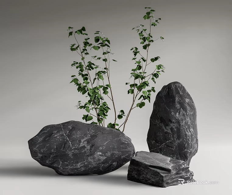 Natural Large Black Stones And Wooden Pieces With Green Plants In Natural 3d model 