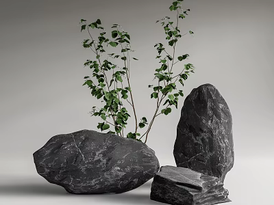 Natural Large Black Stones And Wooden Pieces With Green Plants In Natural 3d model