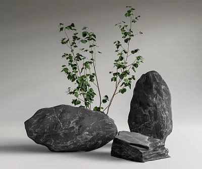 Natural Large Black Stones And Wooden Pieces With Green Plants In Natural 3d model