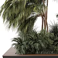 Lush Tropical Plant Collection With Palm Trees Bamboo And Green Foliage