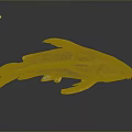 Unique Brown and Yellow Fish with Distinctive Fins and Body Structure on Dark Background