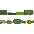 Different Types of Shrubs With Various Shapes Sizes and Green Foliage