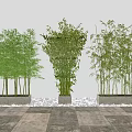 Bamboo Potted Plants in Concrete Planters with Pebbles and White Wall Background
