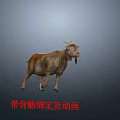 3D Goat Character Model With Skeleton Rigging And Running Animation