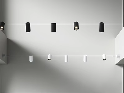 Modern Indoor Ceiling Lighting Design With Black And White Downlights And Spotlights Arrangement 3d model