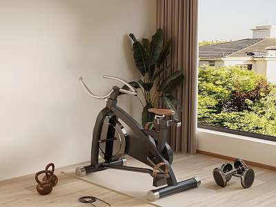 Modern Indoor Home Gym Sports Equipment With Exercise Bike Dumbbells And Kettlebell 3d model