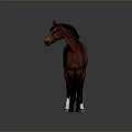 3D Horse Model With Standing Pose Detailed Brown Coat And Dark Background 3d model