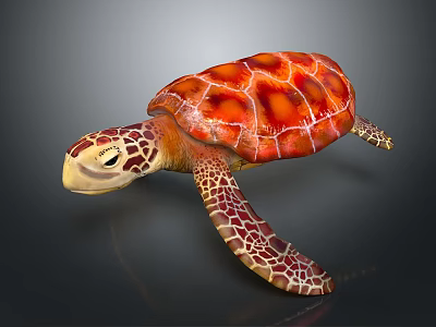 Reptile Sea Turtle Close Up With Orange Red Patterned Shell And Webbed Limbs 3d model