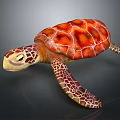 Reptile Sea Turtle Close Up With Orange Red Patterned Shell And Webbed Limbs