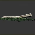 Weathered Wood with Natural Texture Cracks on Green Moss Covered Oval Base