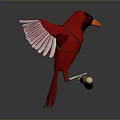 Red Cardinal Bird with Spread Wings Perched on Long Wooden Branch