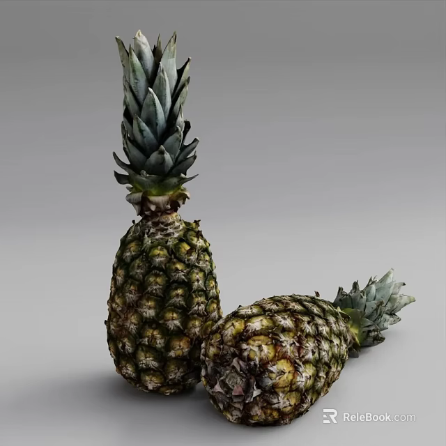 Two Fresh Ripe Pineapples With Green Spiky Leaves On Gray Background 3d model 