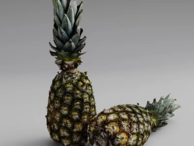 Two Fresh Ripe Pineapples With Green Spiky Leaves On Gray Background 3d model