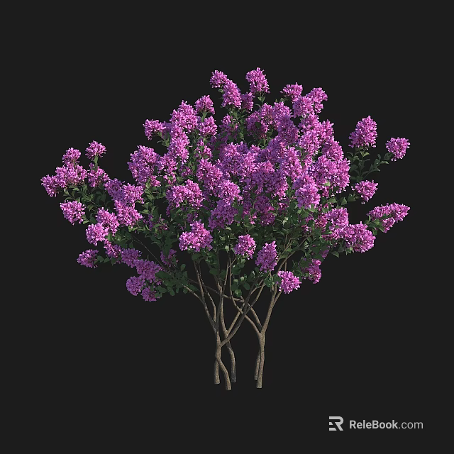 Lush Blooming Arbor With Purple Flowers And Multiple Brown Trunks 3d model 
