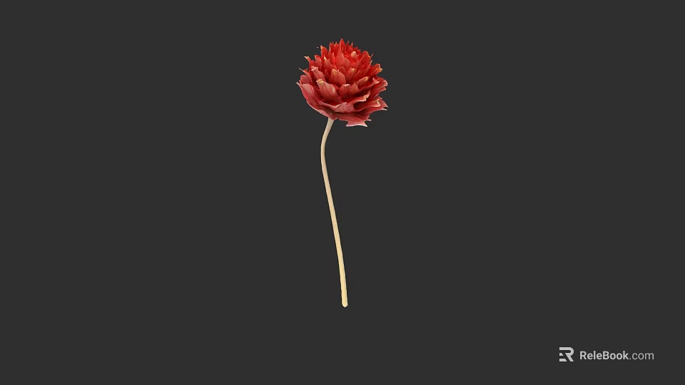 Vibrant Red Flower Plant Painting With Yellow Stem On Black Background 3d model 