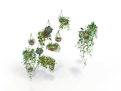 Multiple Hanging Green Plants In Various Potted Containers With Leafy Vines 3d model