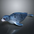 Blue Gray Spotted Seal On Sleek Surface With Reflection And Lighting