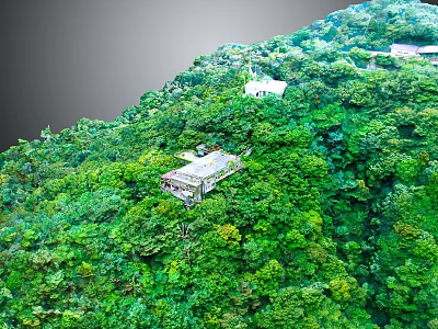 Lush Green Mountain Forest With Nestled Buildings And Dense Vegetation Aerial View 3d model