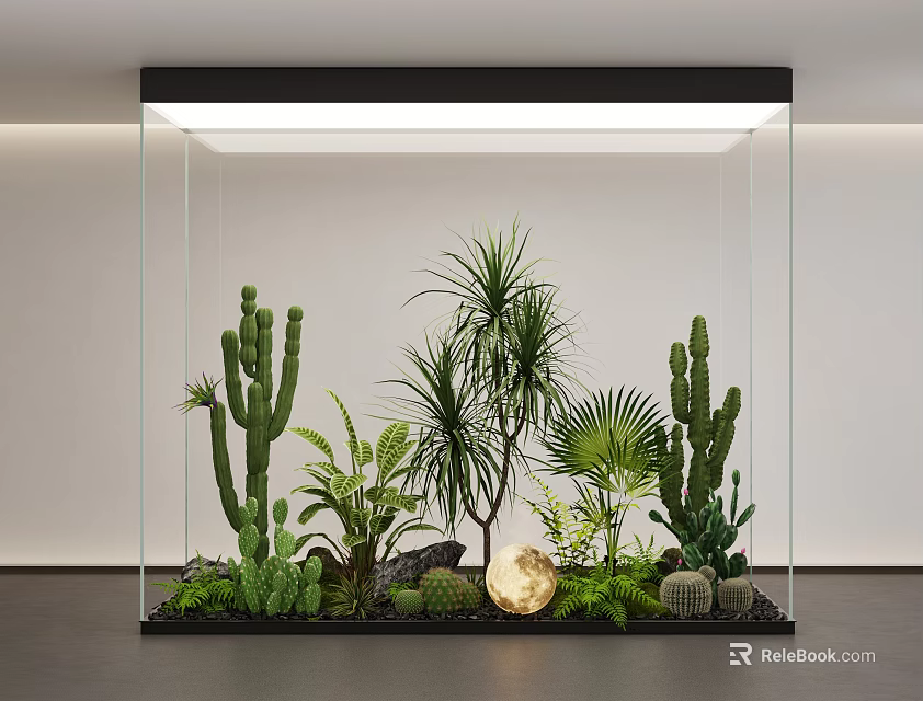 Modern Indoor Landscape In Glass Container With Cacti Palm Plants And Succulents 3d model 