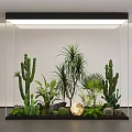 Modern Indoor Landscape In Glass Container With Cacti Palm Plants And Succulents