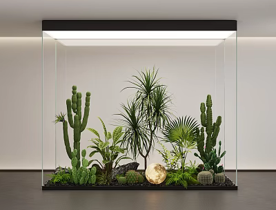 Modern Indoor Landscape In Glass Container With Cacti Palm Plants And Succulents 3d model