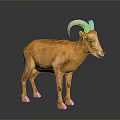 3D Model of Orange Animal With White Curved Horns Standing on Gray Background