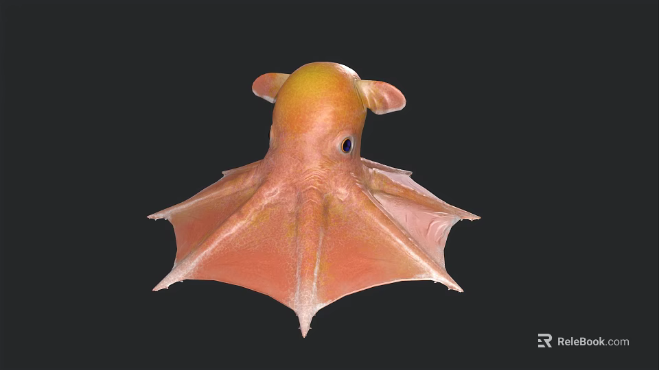 Vibrant Orange and Yellow Blanket Octopus with Spread Fins Swimming in Deep Sea 3d model 