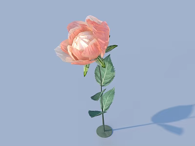 Beautiful Pink Flower With Green Stem And Leaves On Light Blue Background 3d model