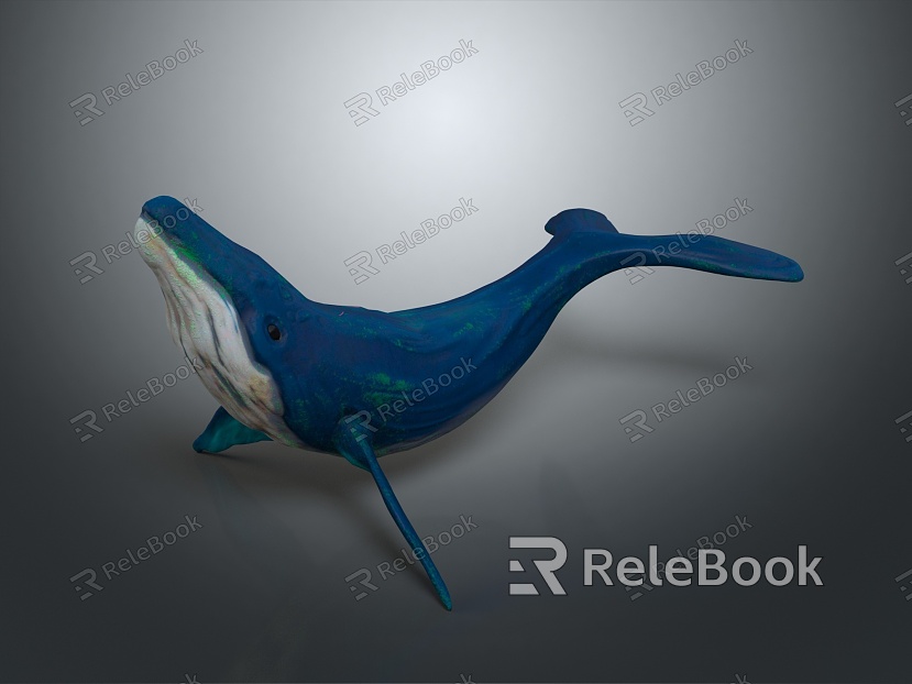 Modern Whale Cartoon Whale Mammal Marine Mammal model